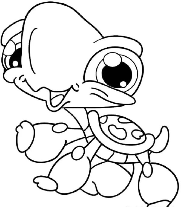 tô màu con rùa 26