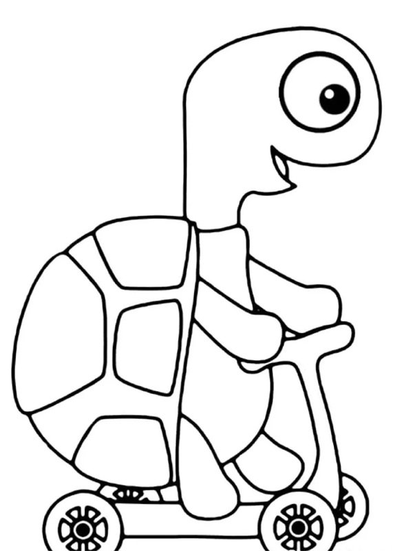 tô màu con rùa 27