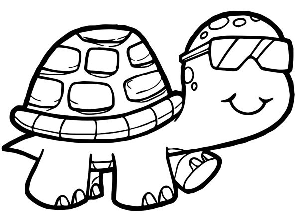 tô màu con rùa 3