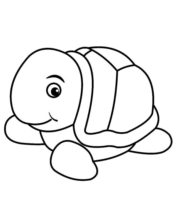 tô màu con rùa 9