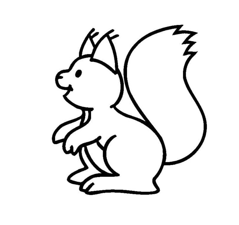 tô màu con sóc 11