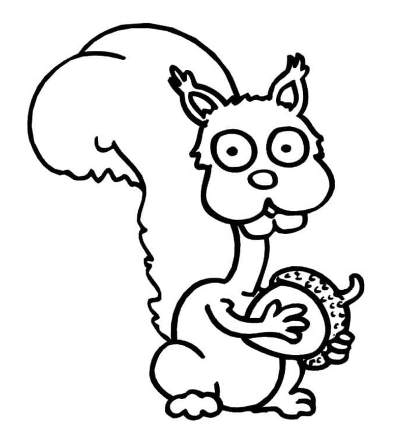 tô màu con sóc 14