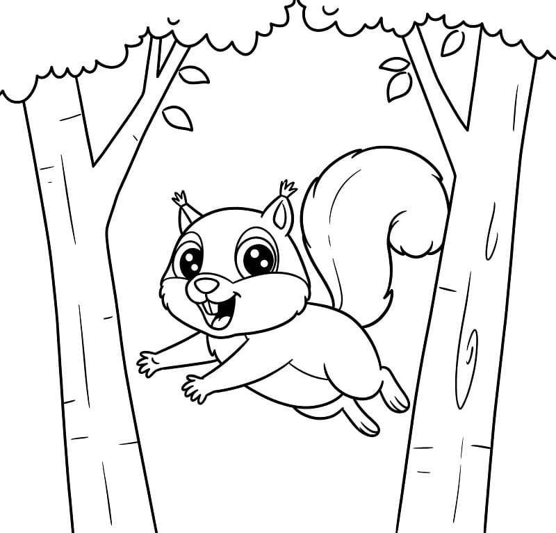 tô màu con sóc 16