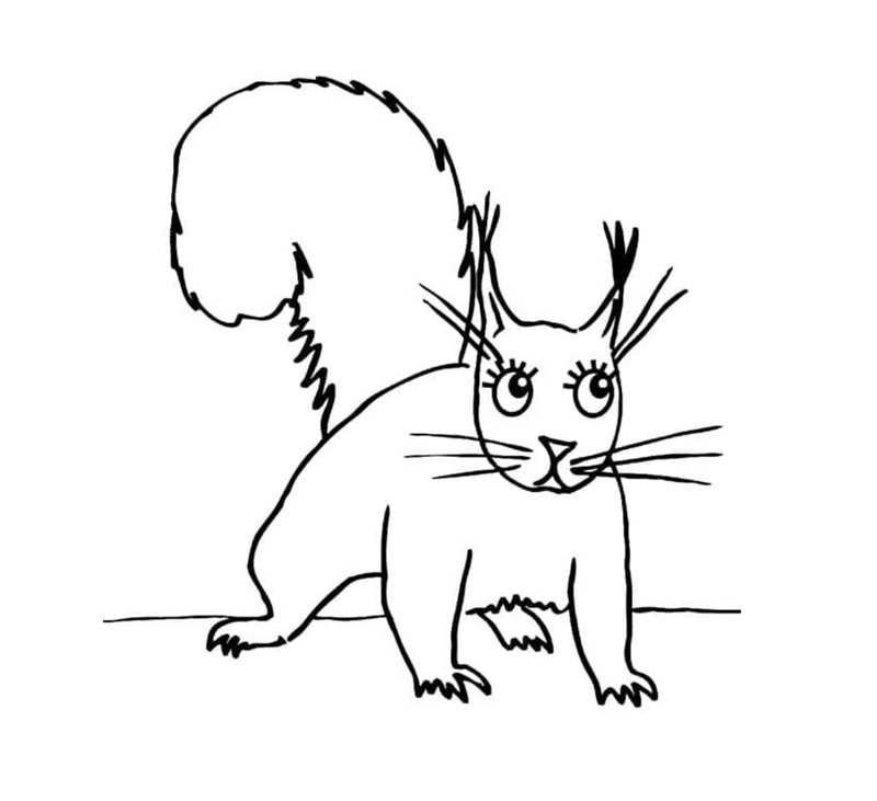 tô màu con sóc 17