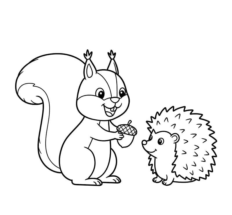 tô màu con sóc 22