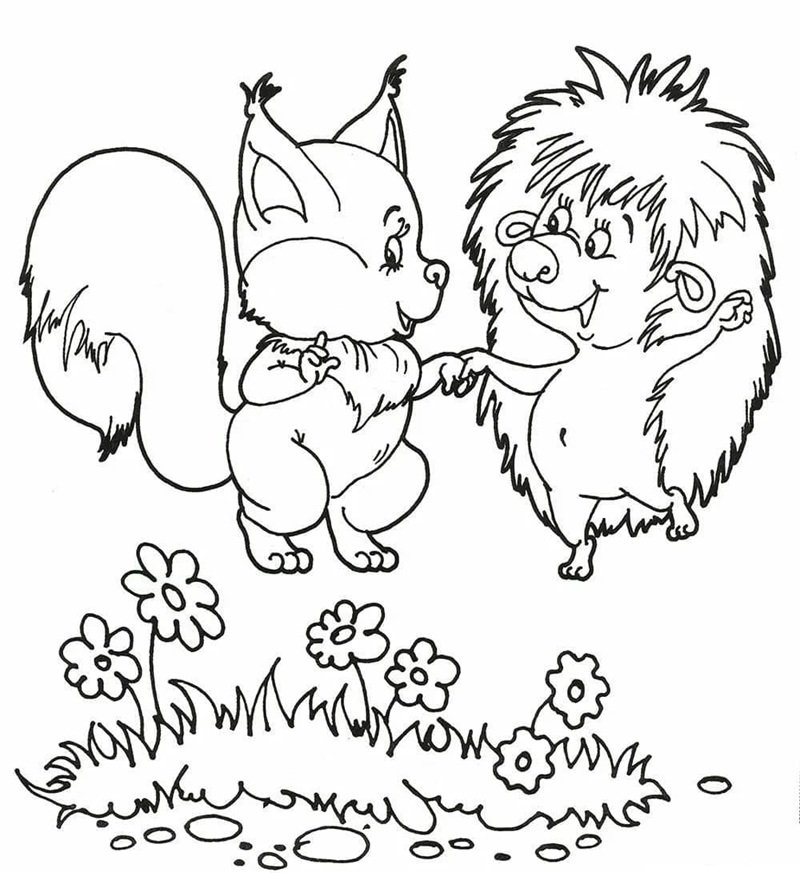 tô màu con sóc 23