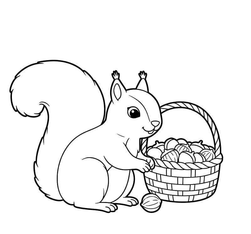 tô màu con sóc 25