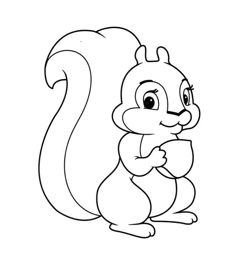tô màu con sóc 31