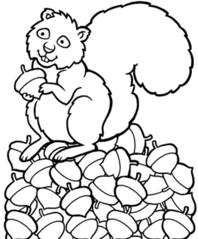 tô màu con sóc 33