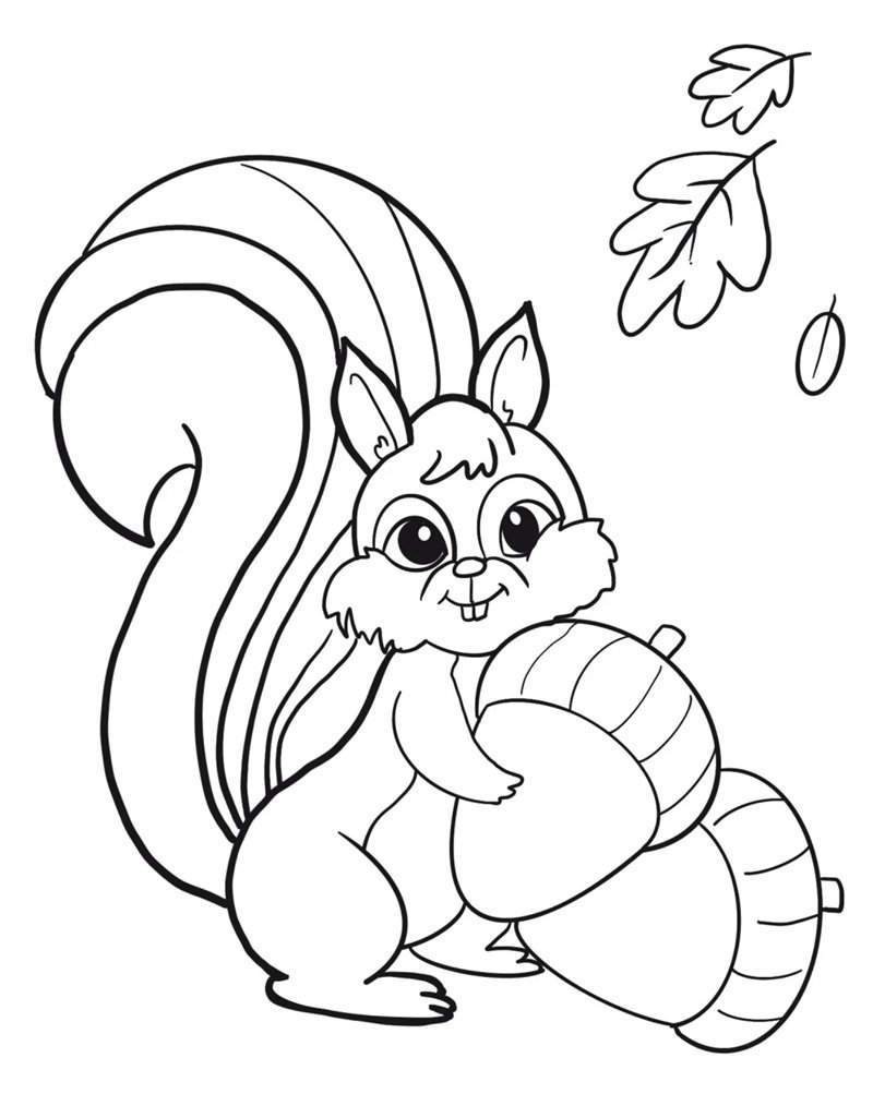tô màu con sóc 36