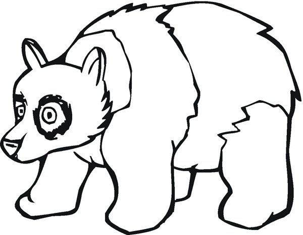 tô màu gấu trúc 3