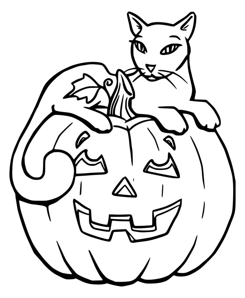 tô màu quả bí ngô 10