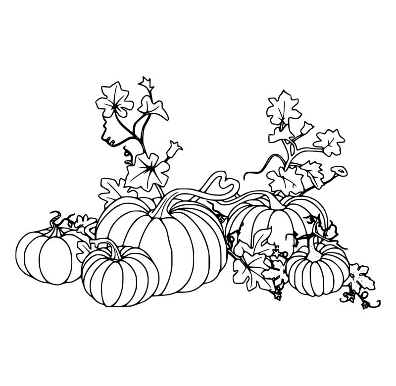 tô màu quả bí ngô 14