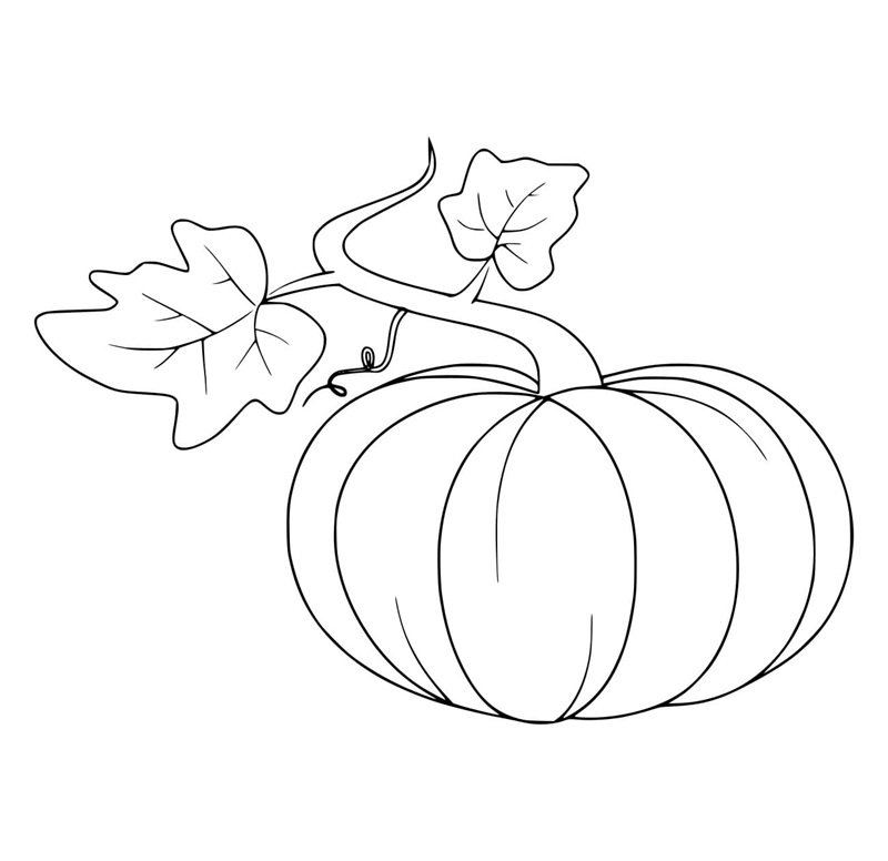 tô màu quả bí ngô 20