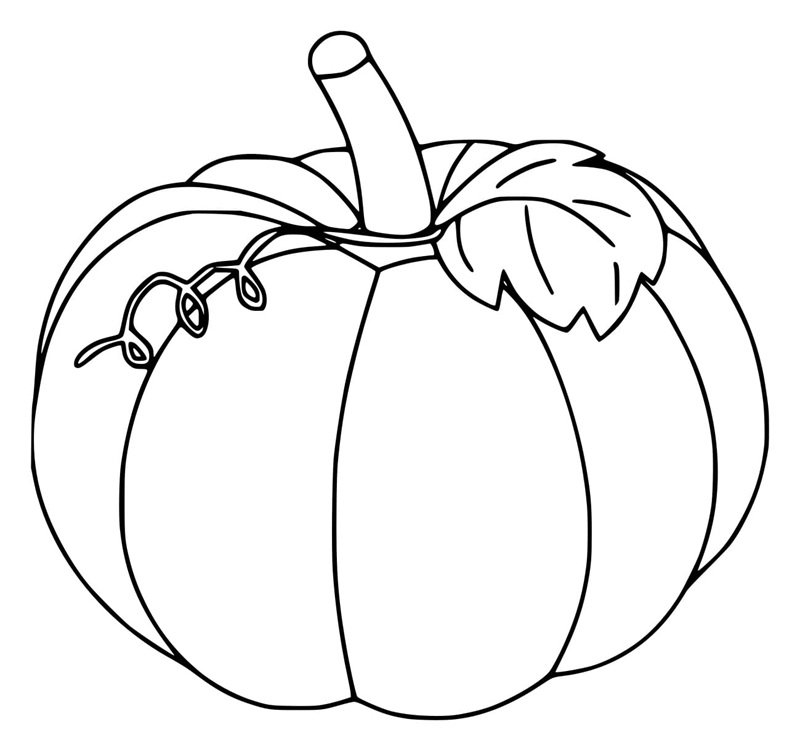 tô màu quả bí ngô 24