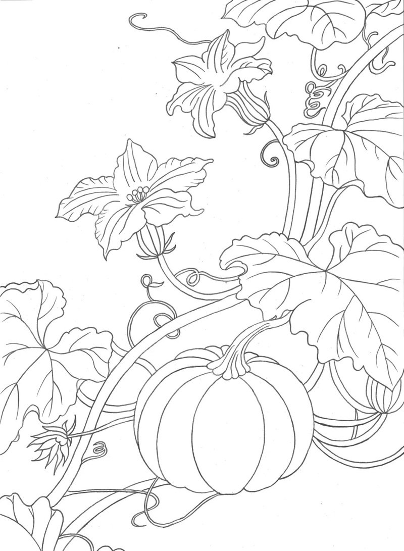 tô màu quả bí ngô 30