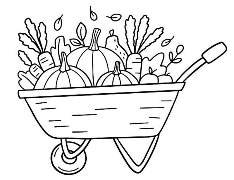 tô màu quả bí ngô 7