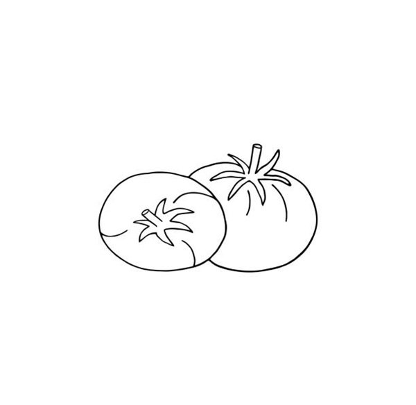 Vector illustration with tomatoes on a white background. Outline drawing.