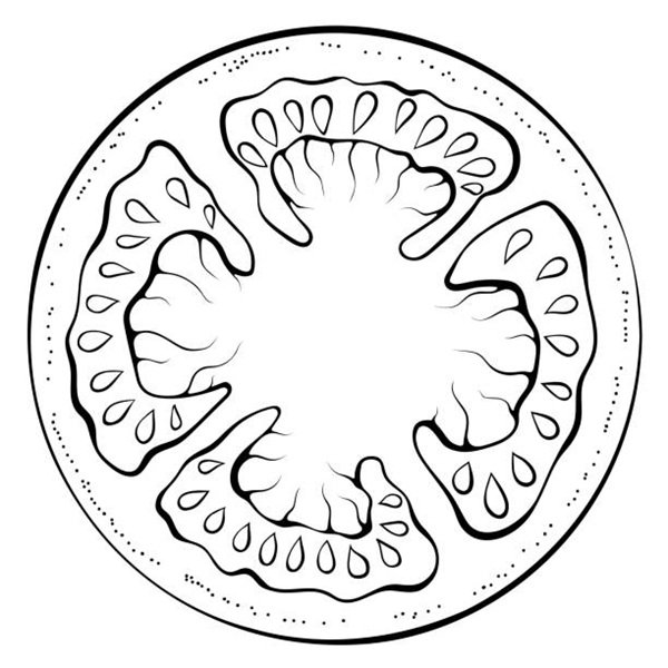 tô màu quả cà chua 12