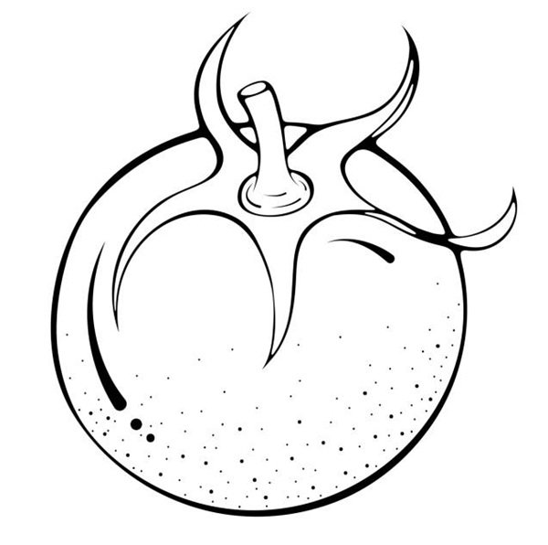 tô màu quả cà chua 13