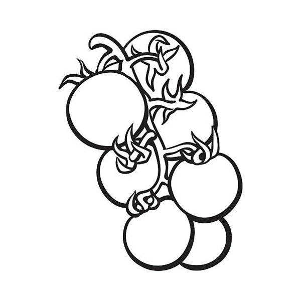 tô màu quả cà chua 18