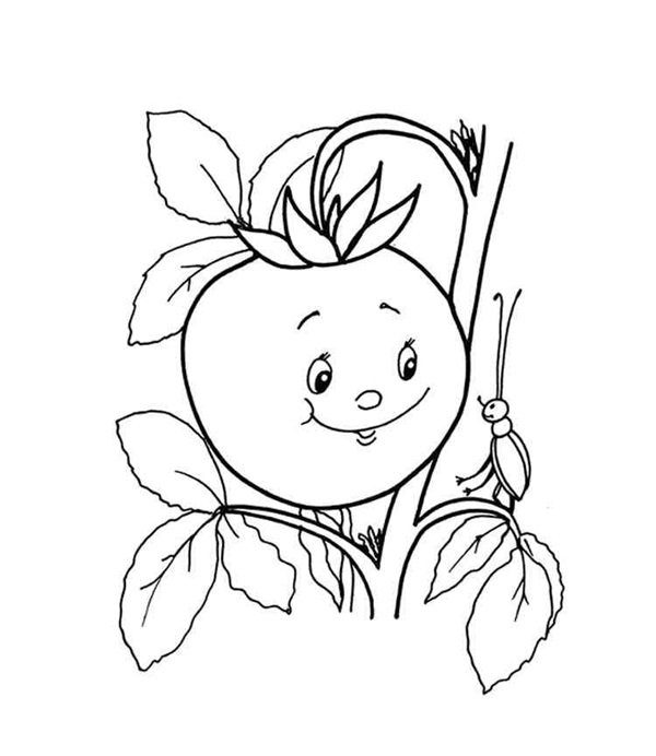 tô màu quả cà chua 29