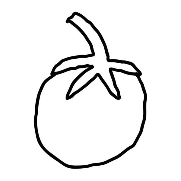 Cartoon doodle linear tomato isolated on white background. Vector illustration.