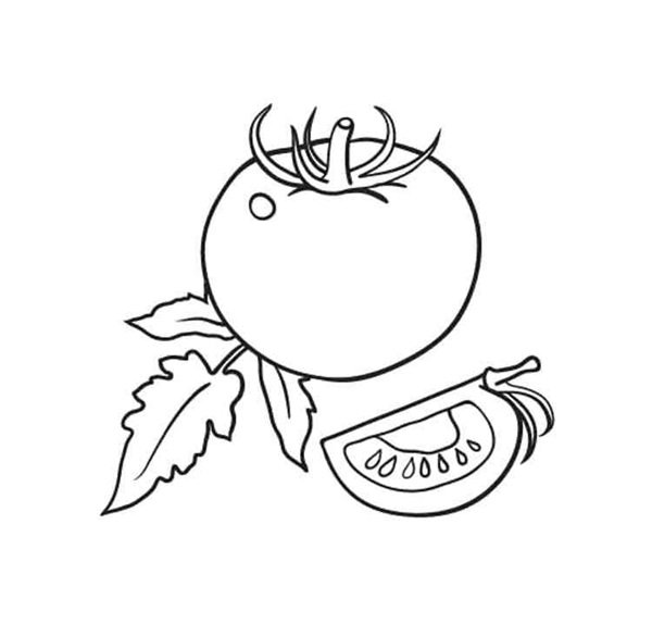 tô màu quả cà chua 31