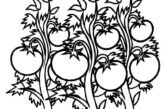Bộ sưu tập 102+ tranh tô màu quả cà chua đẹp mắt cho bạn