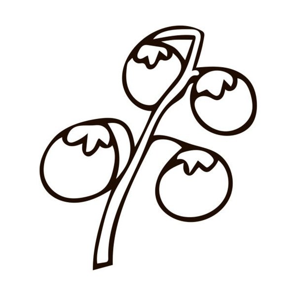 tô màu quả cà chua 4