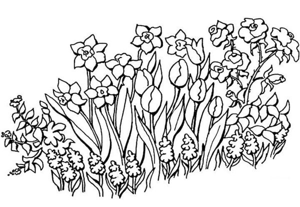 tô màu vườn hoa 10