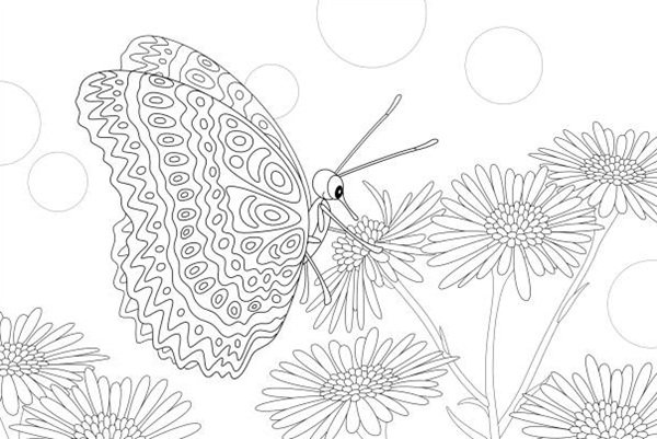 tô màu vườn hoa 19