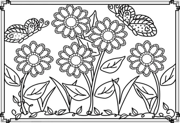 tô màu vườn hoa 22