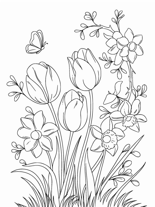 tô màu vườn hoa 23