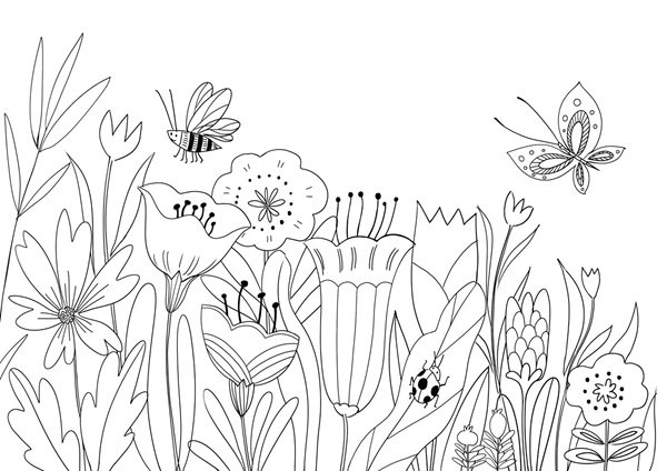 tô màu vườn hoa 37