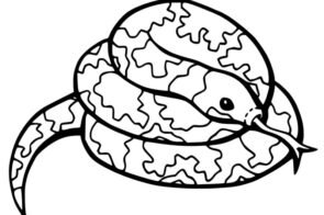 Bộ sưu tập 88+ tranh tô màu động vật sống trong rừng đẹp mê