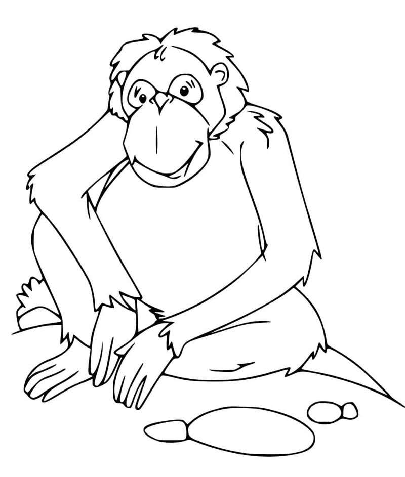 tranh tô màu động vật sống trong rừng 7