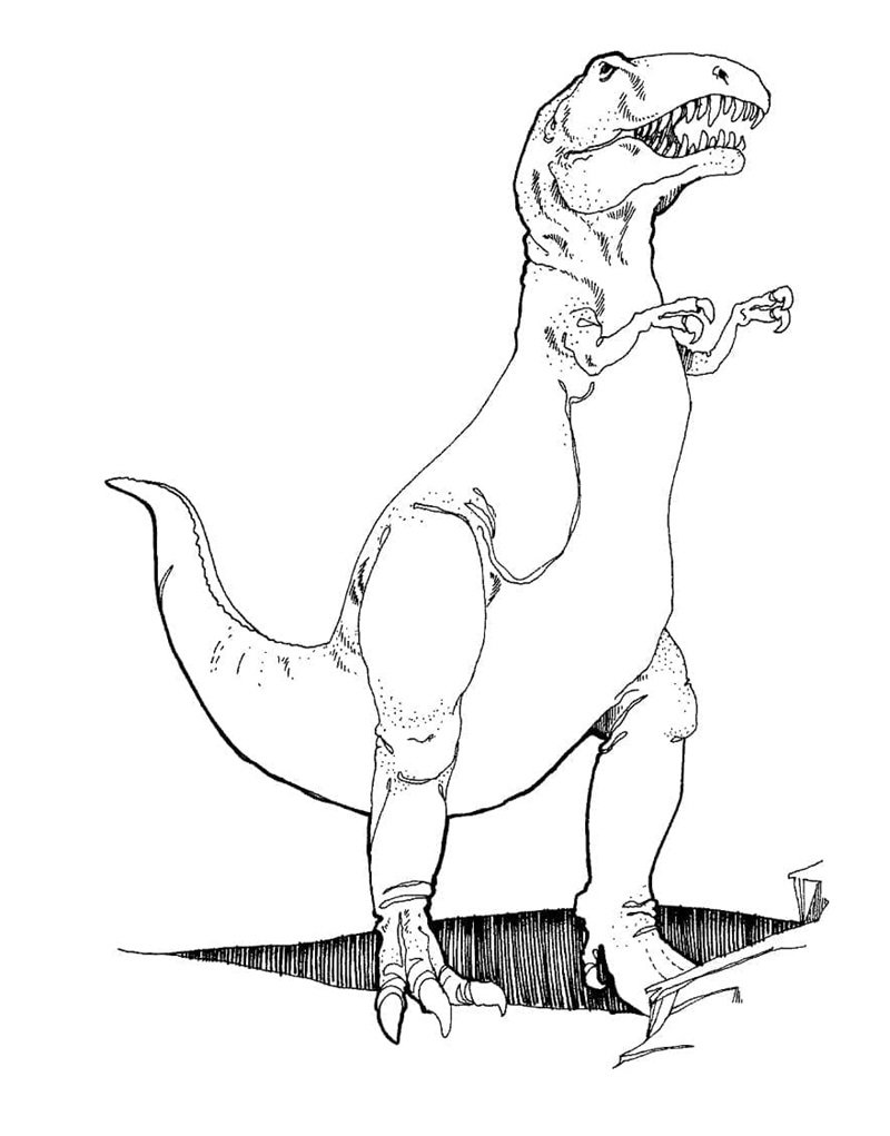 tranh tô màu khung log bạo chúa 13