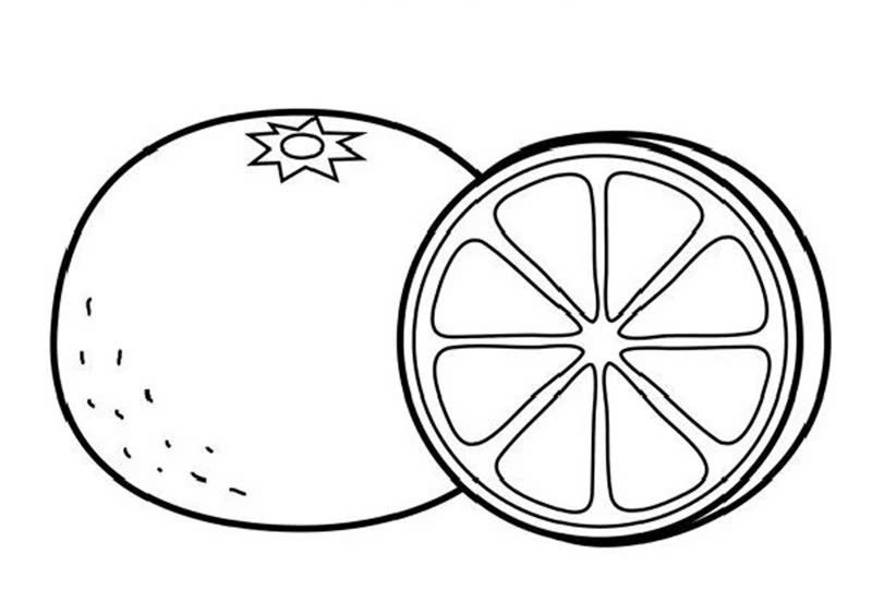 tranh tô màu quả cam 1