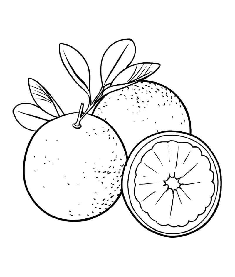 tranh tô màu quả cam 11