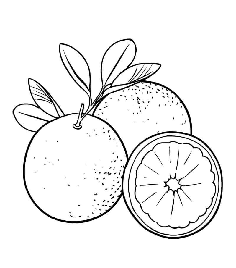 tranh tô màu quả cam 15