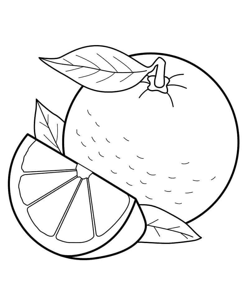 tranh tô màu quả cam 16