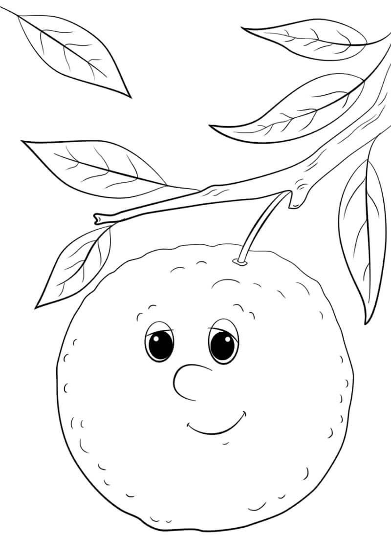 tranh tô màu quả cam 19