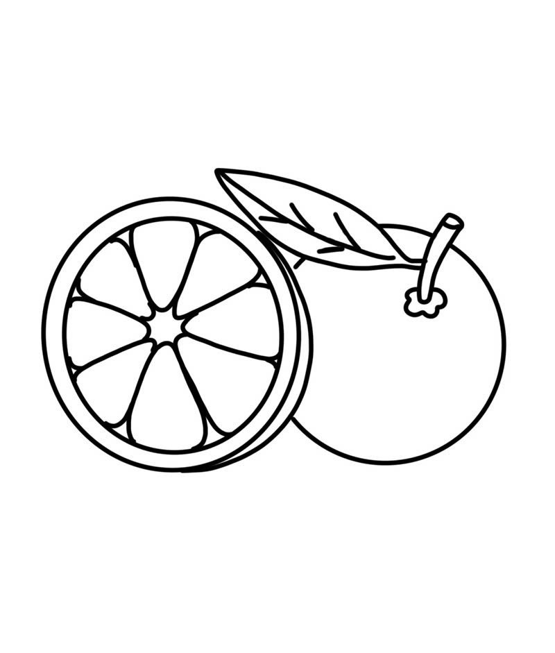 tranh tô màu quả cam 2