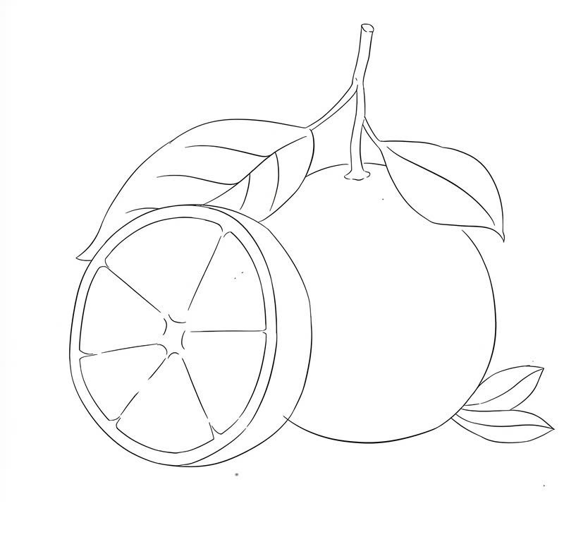 tranh tô màu quả cam 20