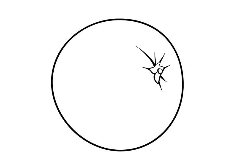 tranh tô màu quả cam 23