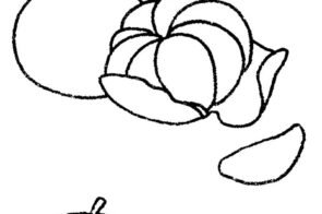 Tổng hợp 77+ tranh tô màu quả cam đơn giản mà xinh