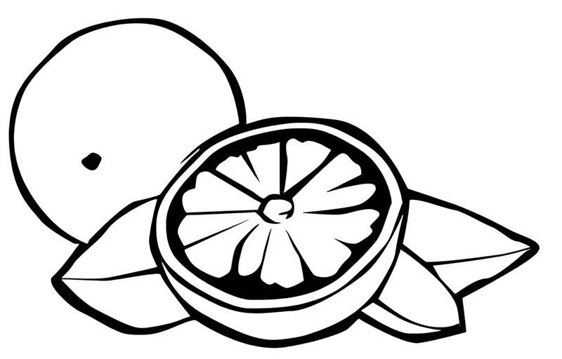 tranh tô màu quả cam 29