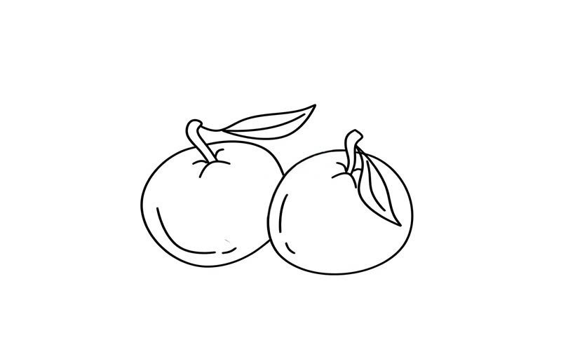 tranh tô màu quả cam 34