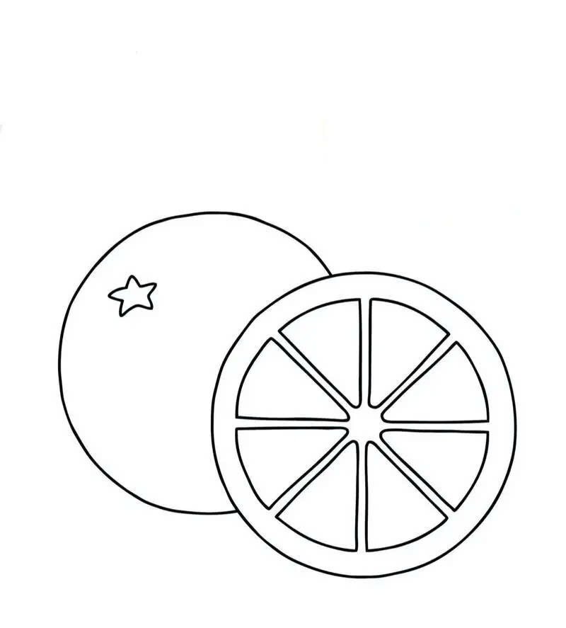 tranh tô màu quả cam 39